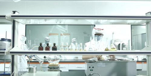 凍干餅干方便食品一站式代加工供求信息及商務咨詢服務