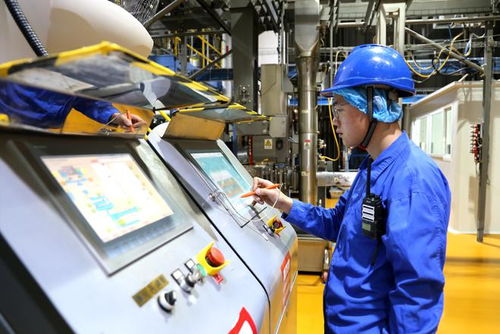 小萌寵激活億元新賽道 山東寵物產(chǎn)業(yè)發(fā)展一線見聞